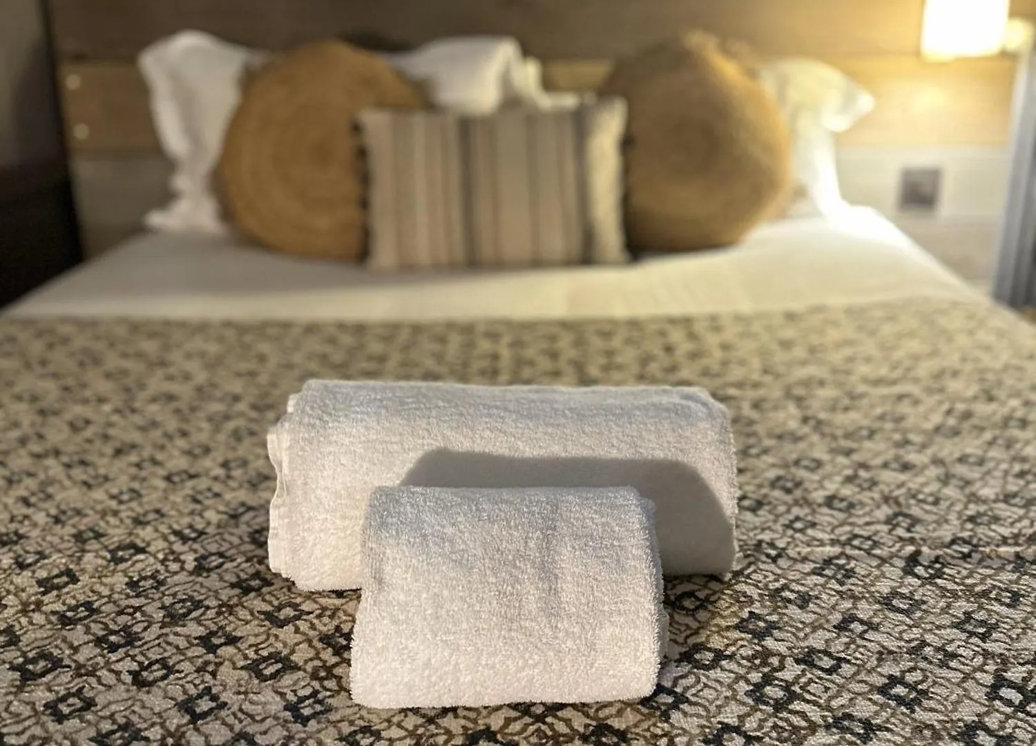 Hotel Alexandra Lyon